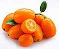 Kumquat und Hybridsorten