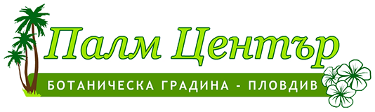 Nursery Palm Center - Plovdiv Ltd.