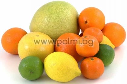 Citrus from the list to add to the order