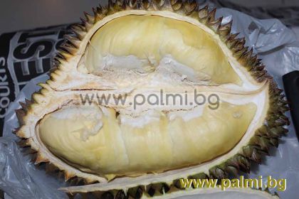 Durian - The King of all fruits