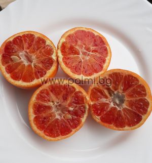 Citrus Arcobal, Rainbow-Orange