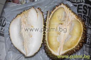 Durian - The King of all fruits